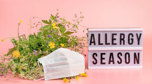 wild fire smoke 28 reasons you need a home air purifier