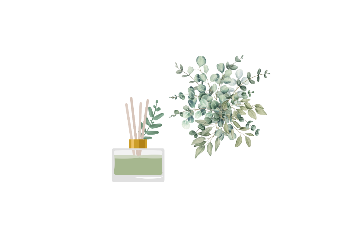 Eucalyptus for Renewal, Stress, Anxiety