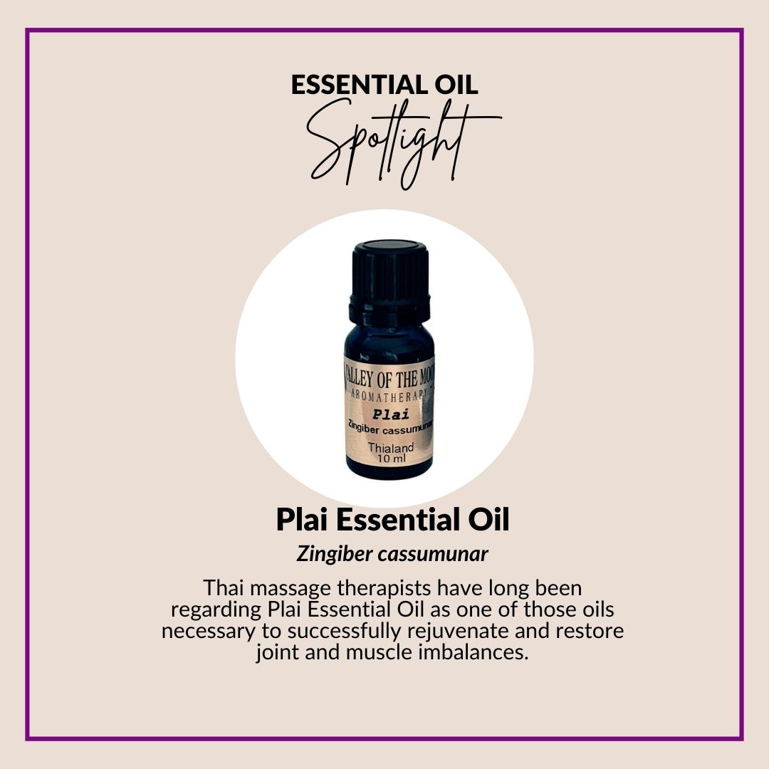Plai essential oil wildcrafted