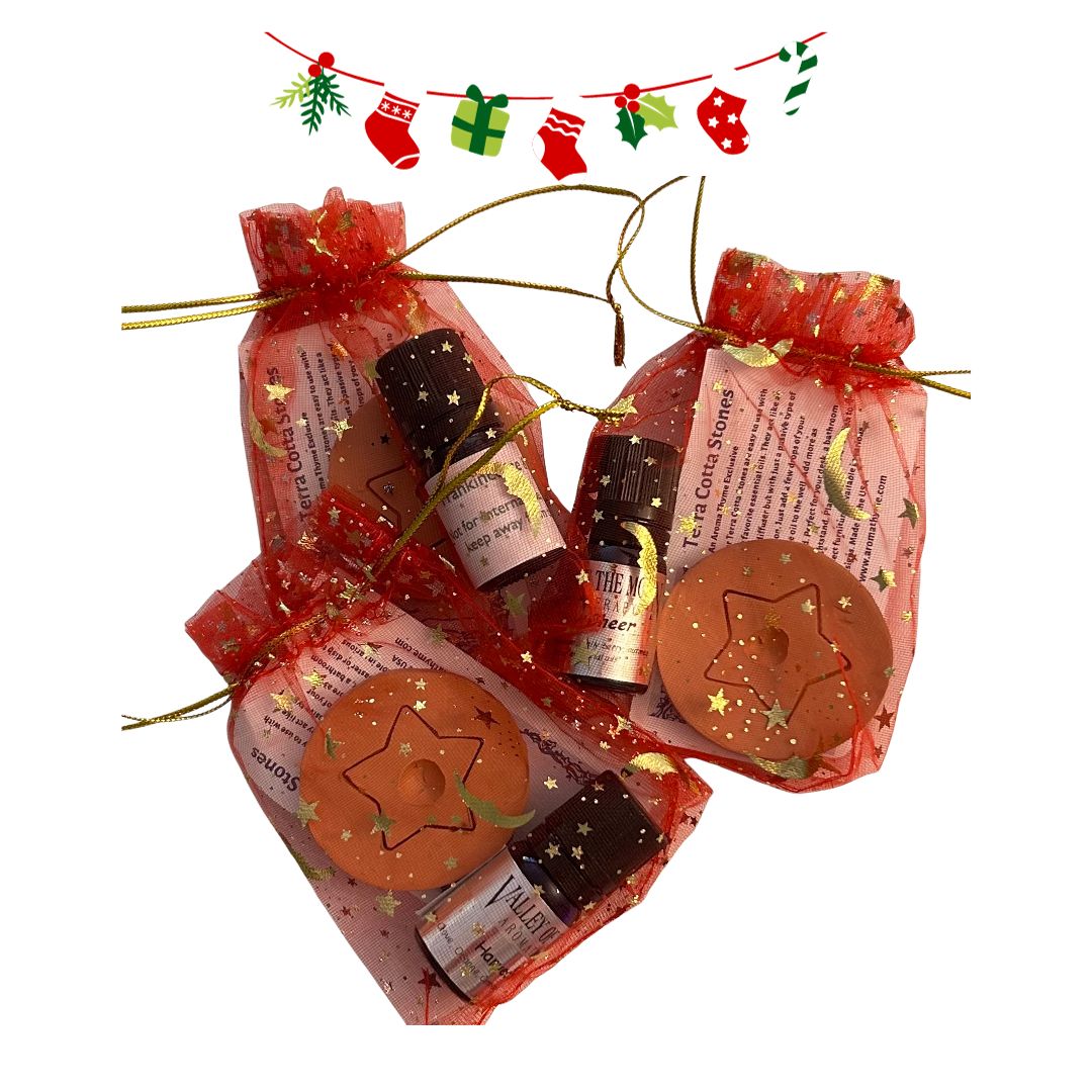 terra cotta aromatherapy stone diffuser set with holiday oil