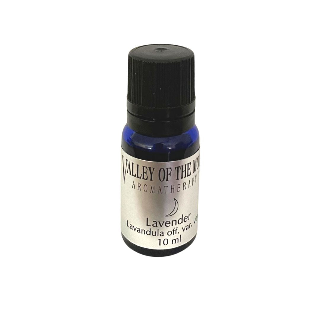 Valley of the Moon Memory Bundle Study-Inspired Essential Oil Set