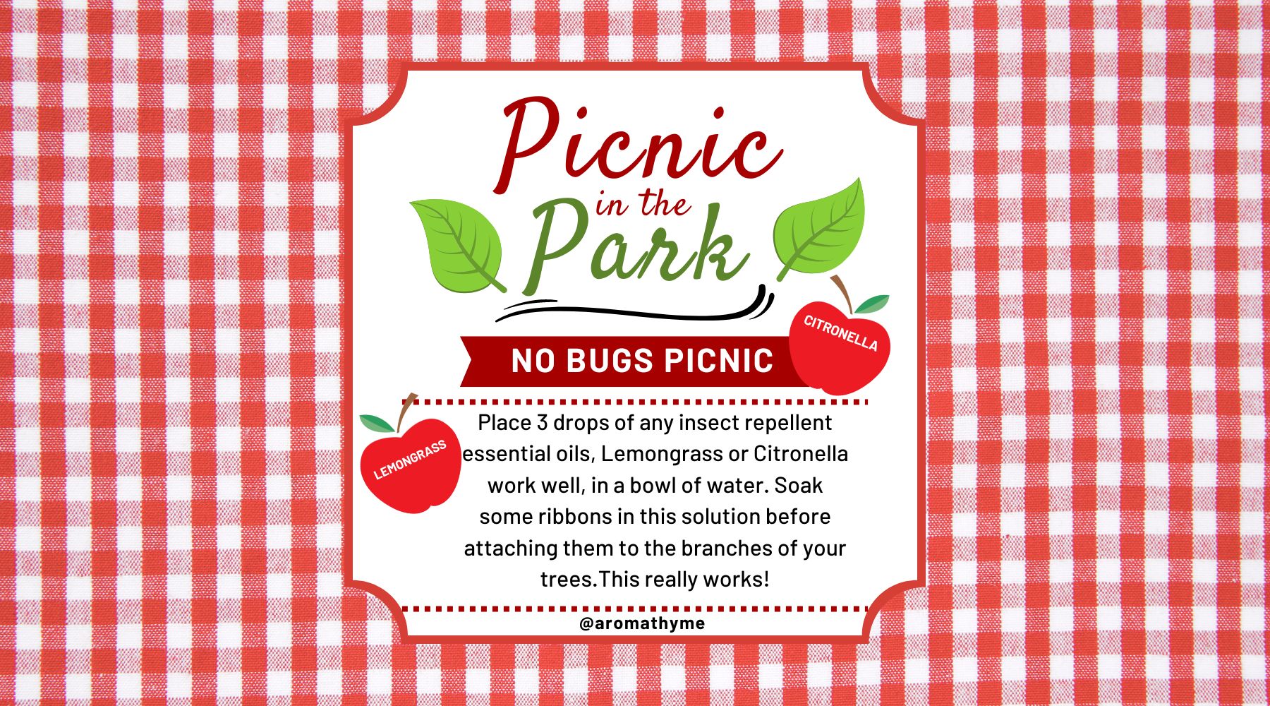 No bugs picnic July 4th holiday picnic using essential oils
