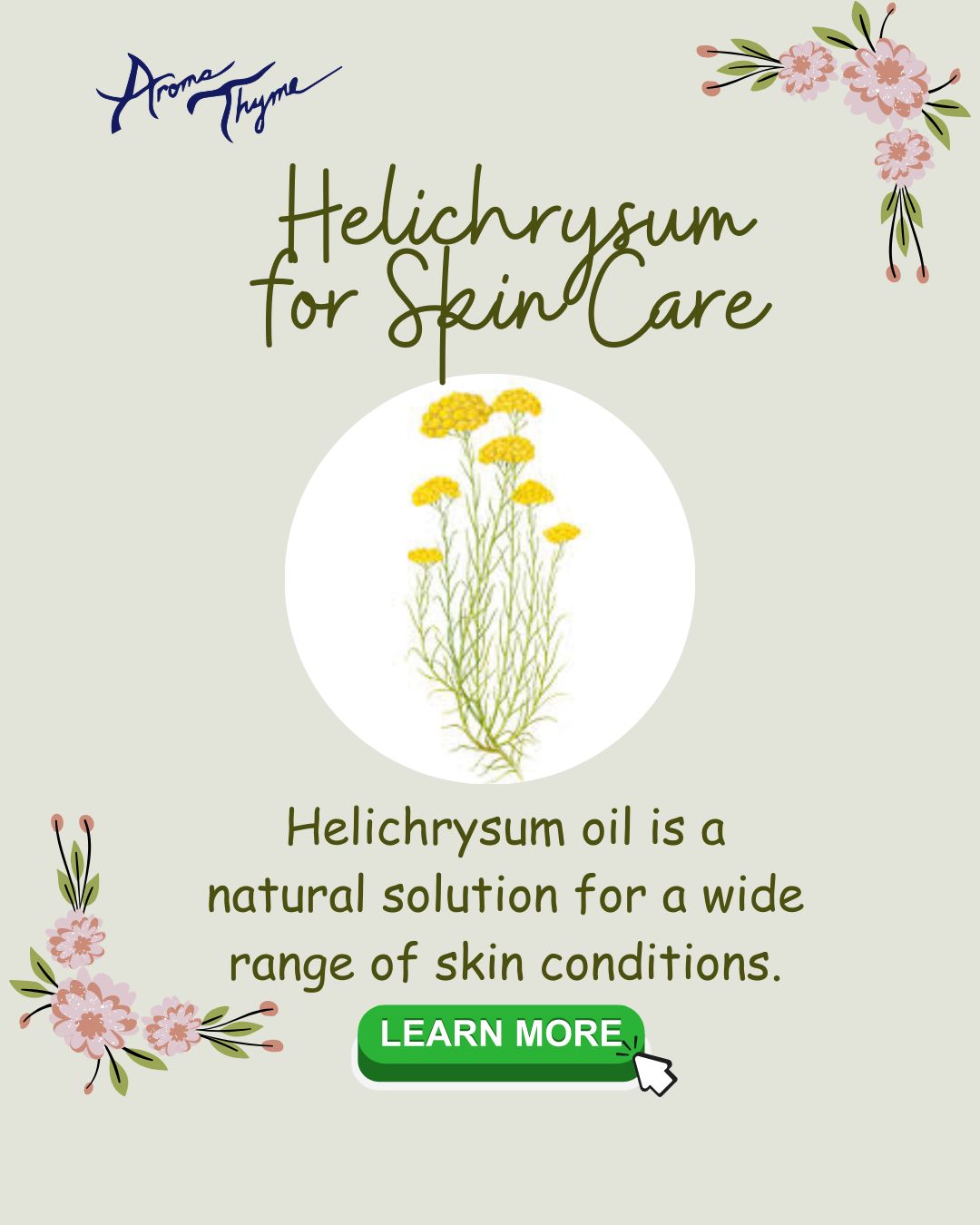 Helichrysum essential oil for skin care and more