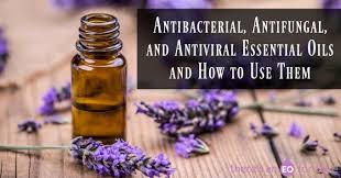 Anti Viral Essential Oils
