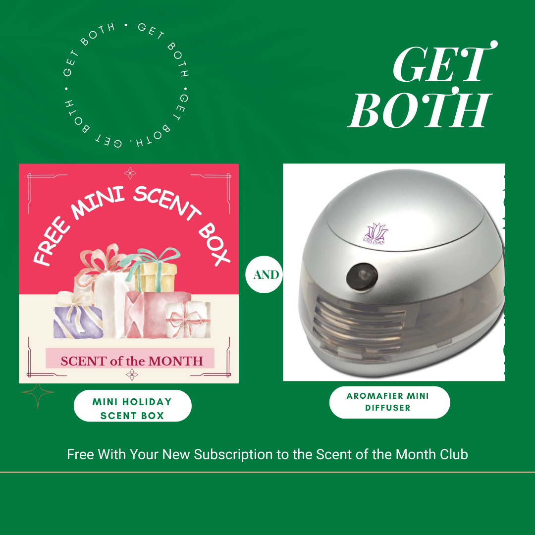 pink gift box with silver diffuser on green background with holiday offer text