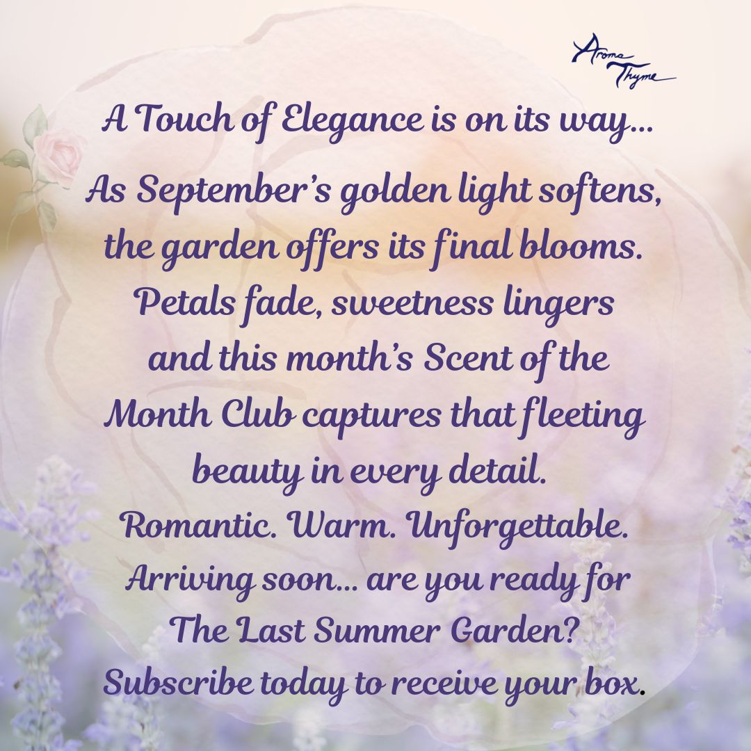 scent of the month essential oil aromatherapy box