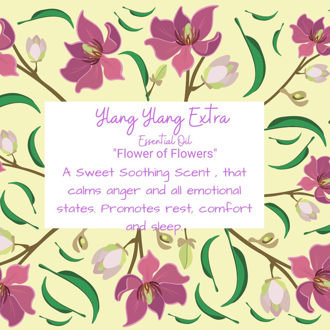 ylang ylang extra essential oil  flower of flowers yellow flowered background  image